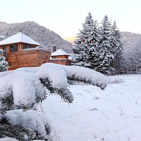 Escale Cab'Ane Hotel Mittlach Bagian luar foto